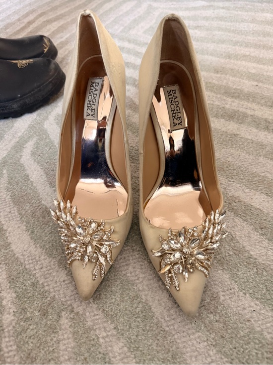 Badgley Mischka Shoes - Badgley Mischka Champagne Pointed-Toe Crystal Embellished Pumps